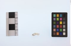 Foto von Diamant (NHMW-MIN-Ab3238)